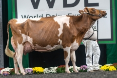 A9106410-4573 A9106410-4573