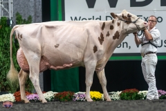 A9106415-4574 A9106415-4574