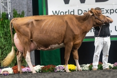 A9106418-4575 A9106418-4575