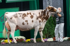 A9106421-4576 A9106421-4576