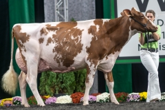 A9106428-4577 A9106428-4577