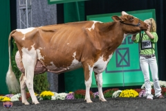 A9106431-4578 A9106431-4578