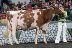 A9106433-4579 A9106433-4579