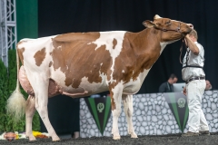 A9106435-4580 A9106435-4580