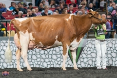 A9106438-4582 A9106438-4582