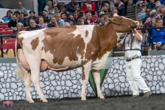 A9106442-4584 A9106442-4584