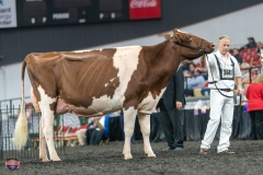 A9106445-4585 A9106445-4585