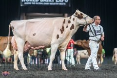 A9106450-4586 A9106450-4586