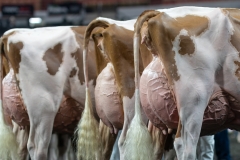 A9106468-4590 A9106468-4590