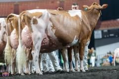 A9106470-4591 A9106470-4591