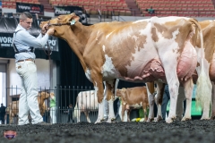 AR306300-4587 AR306300-4587