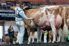 AR306304-4588 AR306304-4588