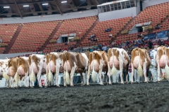 AR306310-4592 AR306310-4592