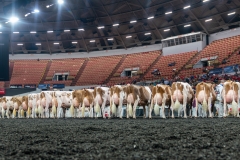 AR306311-4593 AR306311-4593