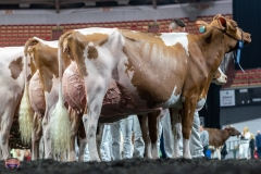 AR306316-4594 AR306316-4594