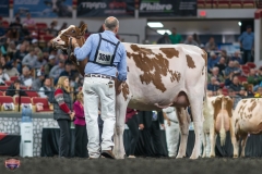 A9106329-4465 A9106329-4465