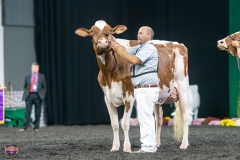 A9106332-4466 A9106332-4466