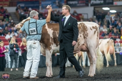 A9106345-4467 A9106345-4467