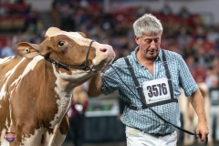 A9106369-4468 A9106369-4468