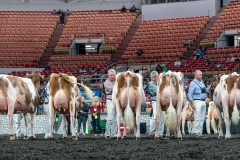 AR306003-4462 AR306003-4462