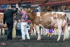 AR306035-4470 AR306035-4470