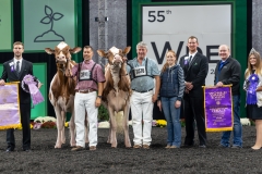 AR306051-4474 AR306051-4474