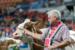 DSC09327-4476 DSC09327-4476