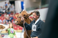 DSC09328-4477 DSC09328-4477