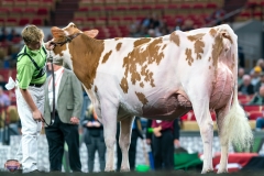 DSC09332-4478 DSC09332-4478