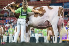 DSC09333-4479 DSC09333-4479