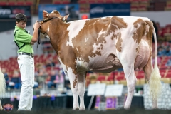 DSC09335-4480 DSC09335-4480