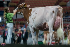 DSC09339-4482 DSC09339-4482