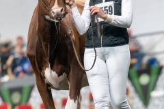 DSC09342-4483 DSC09342-4483