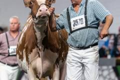 DSC09344-4484 DSC09344-4484