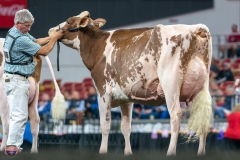 DSC09345-4485 DSC09345-4485