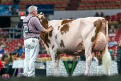 DSC09347-4486 DSC09347-4486