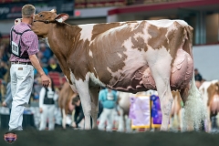 DSC09351-4487 DSC09351-4487