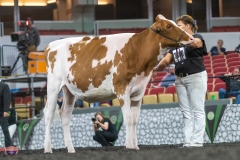 A9105860-4089-4121 A9105860-4089-4121