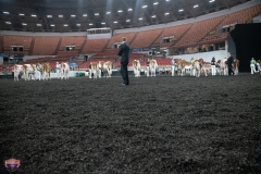 AR305744-4098 AR305744-4098