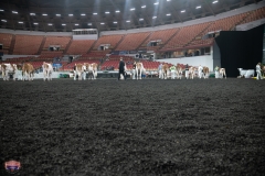 AR305749-4099 AR305749-4099