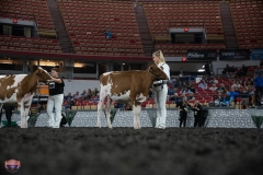 AR305751-4100 AR305751-4100