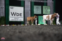 AR305762-4103 AR305762-4103