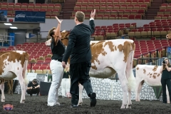 AR305768-4104-4122 AR305768-4104-4122