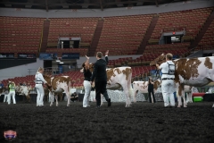 AR305768-4104 AR305768-4104