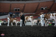 AR305771-4105 AR305771-4105