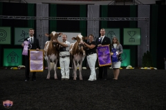 AR305782-4106 AR305782-4106