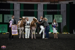 AR305788-4108 AR305788-4108