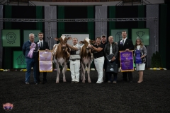 AR305790-4109 AR305790-4109