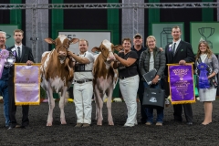 AR305793-4110 AR305793-4110