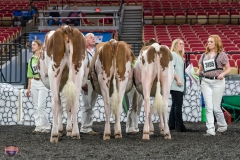 AR305796-4111 AR305796-4111